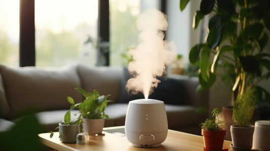 Esencias para Humidificadores: Aromas naturales que transforman tu hogar