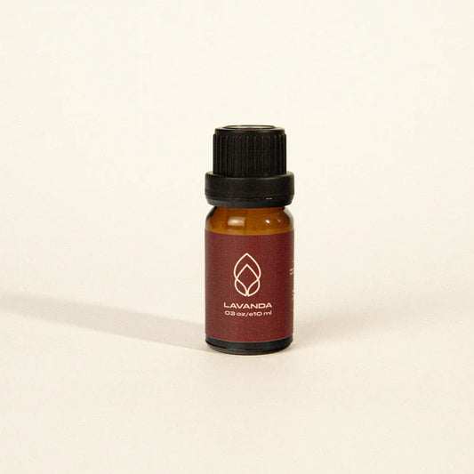 Esencia para humificador - Esencia Lavanda 10ml
